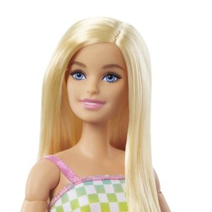 Barbie - Doll With Wheelchair And Ramp - Blonde (HJT13)