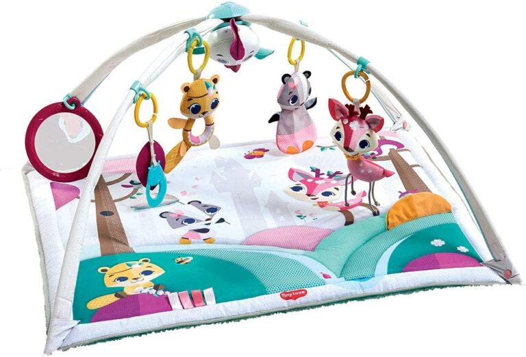 Tiny Love – Gymini Deluxe – Princess Tales (3333120554)