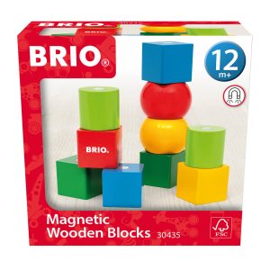 BRIO - Magnetic Wooden Blocks - 30435