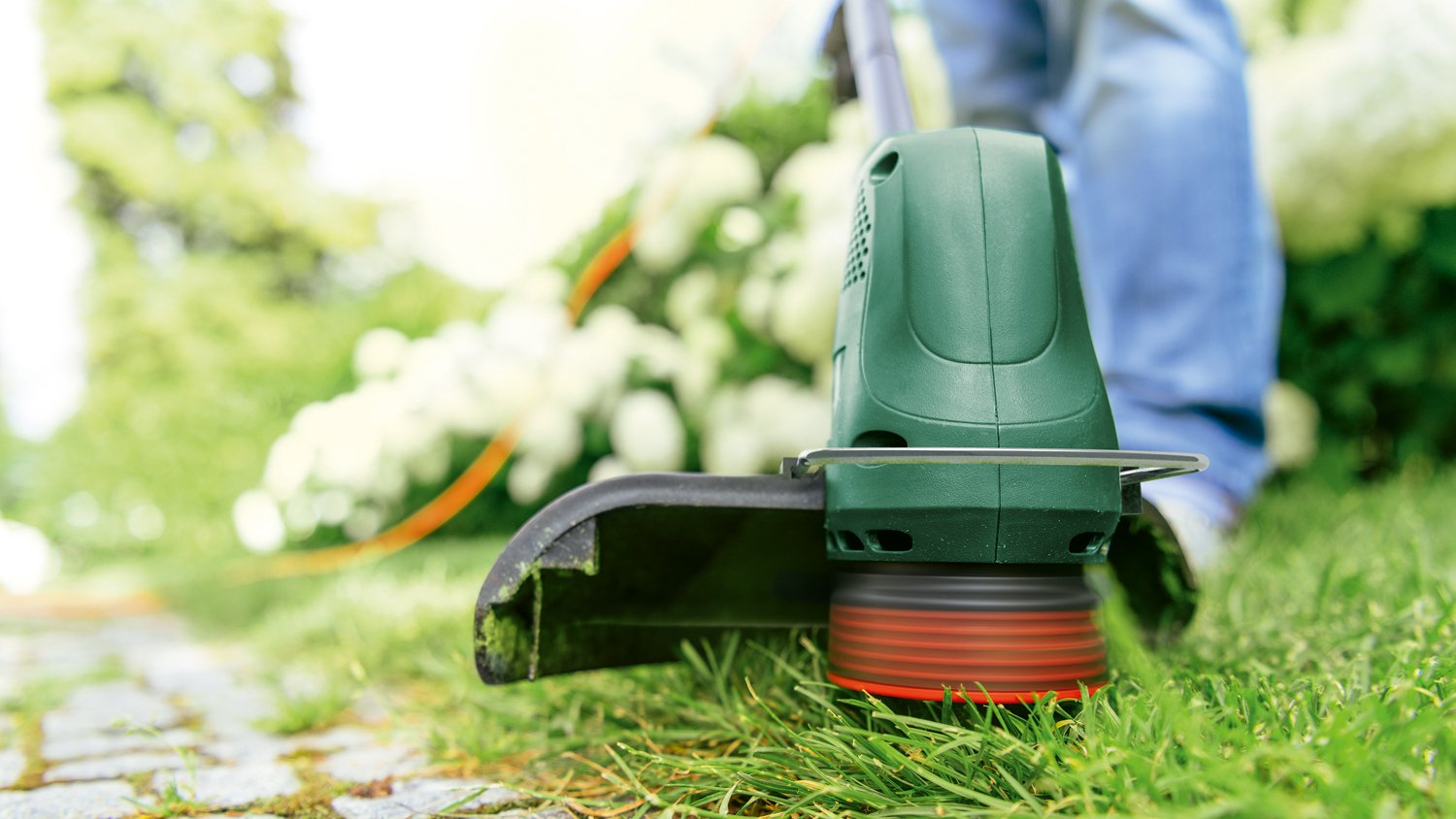 Bosch - Grass Trimmer Easy Grass Cut 26CM ( Corded )