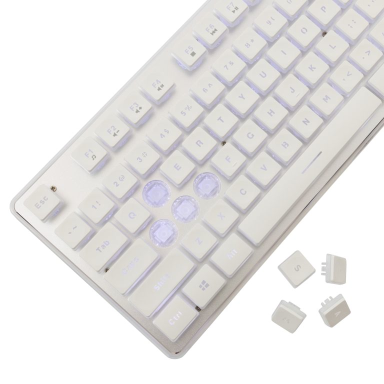 White Shark GK-003241 Tachi White US