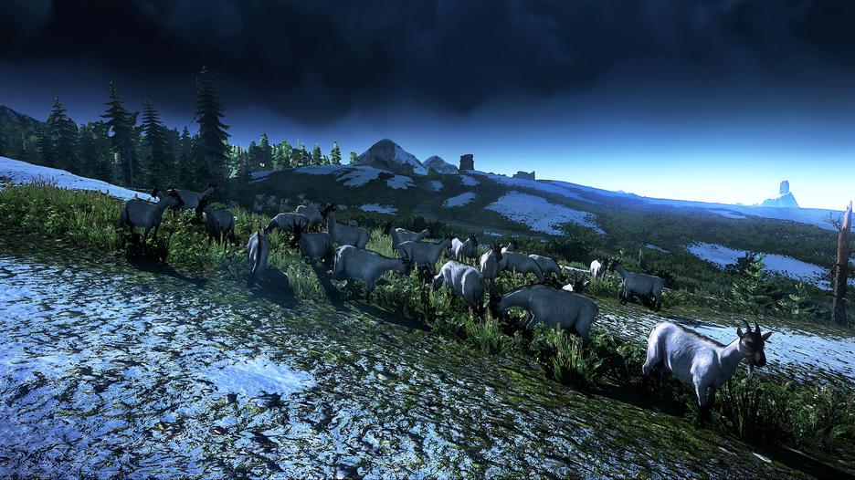 The Witcher III (3): Wild Hunt (Game of The Year Edition)