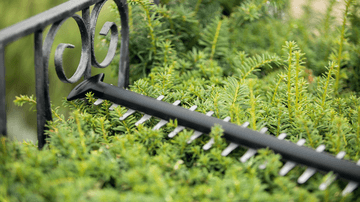 Bosch - Universal HedgeCut 18V 50cm Blade (Battery included)