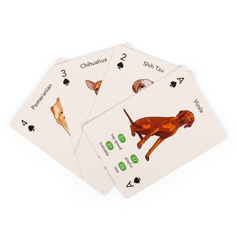 Kikkerland – Paws & Play Playing Cards – (GG274)