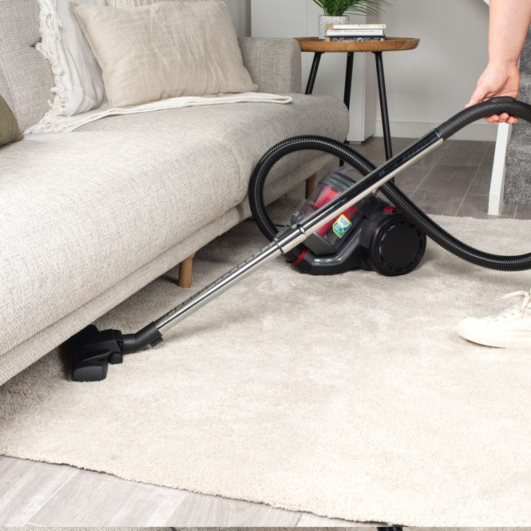 Beldray BEL0700TBVDE Compact Pet Plus