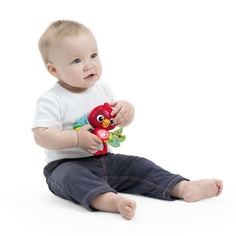 Baby Einstein – Roxy’s Bright Flight™ Musical Toy – (BE-16888)