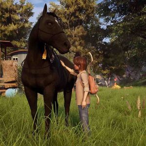 Windstorm: An Unexpected Arrival (Code in Box)