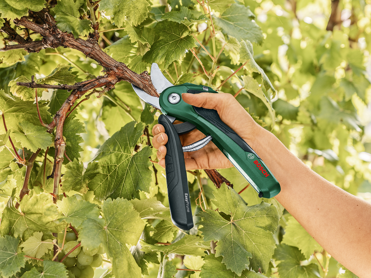 Bosch - Battery Pruning Scissors Easy Prune 3.6V