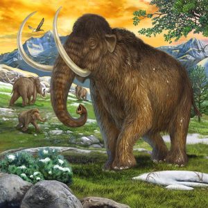 Ravensburger - Primeval Ruler 3x49p - 09358