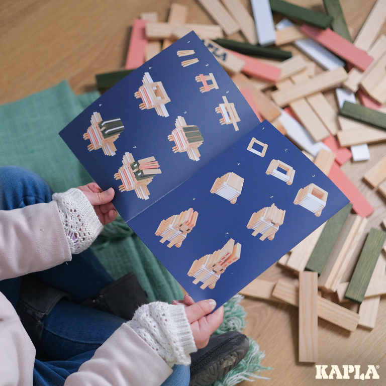 Kapla – Season 200box – Spring