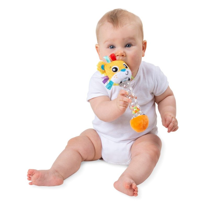 PLAYGRO – Lion Rain Maker Rattle Stick (10188797)