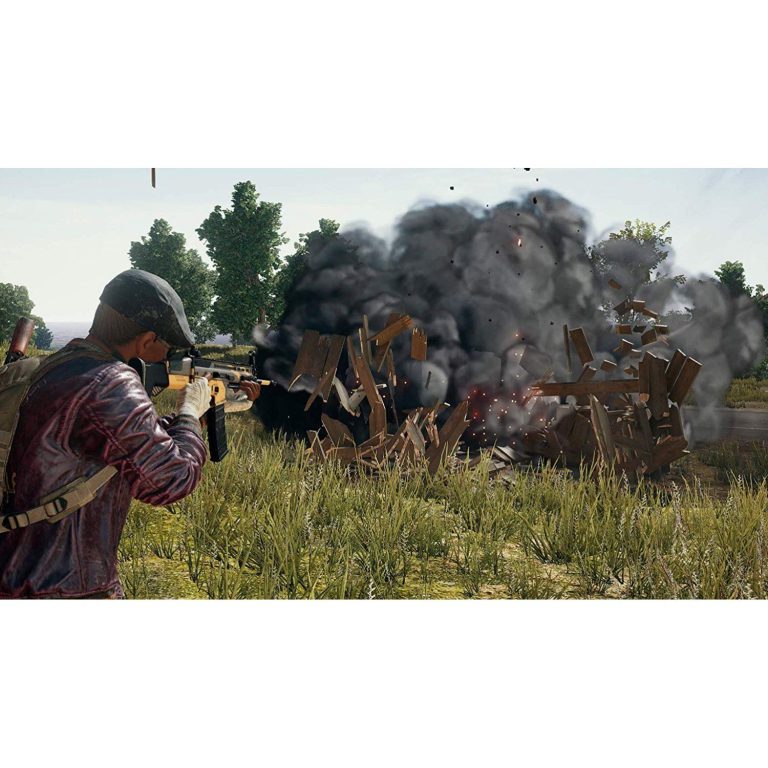 PlayerUnknown’s Battlegrounds (Import)
