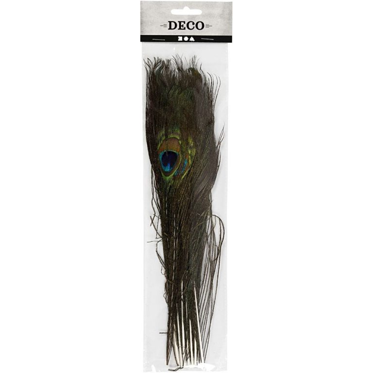 DIY Kit – Peacock feathers 10pc (51810)