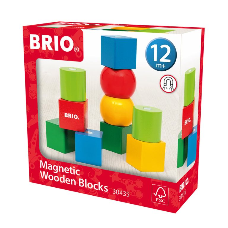 BRIO – Magnetic Wooden Blocks – 30435