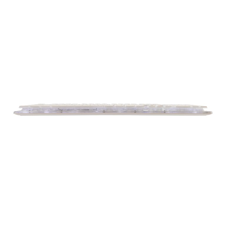 White Shark GK-003241 Tachi White US