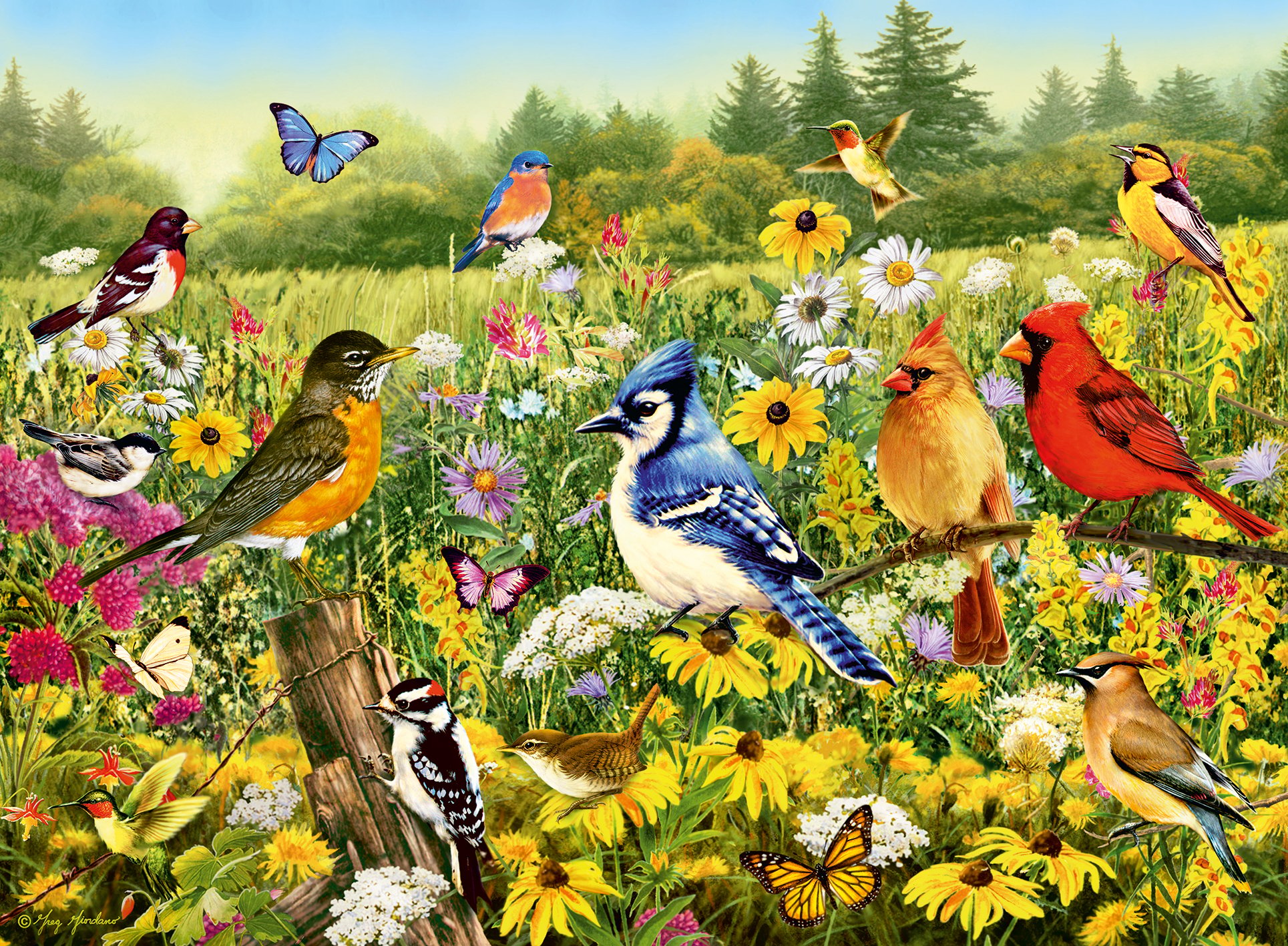 Ravensburger - Puzzle Birds in the Meadow 500p (12000336)