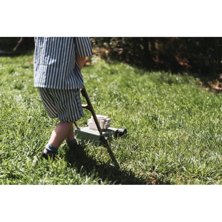 Dantoy – Green Garden – Lawn mower (4733)