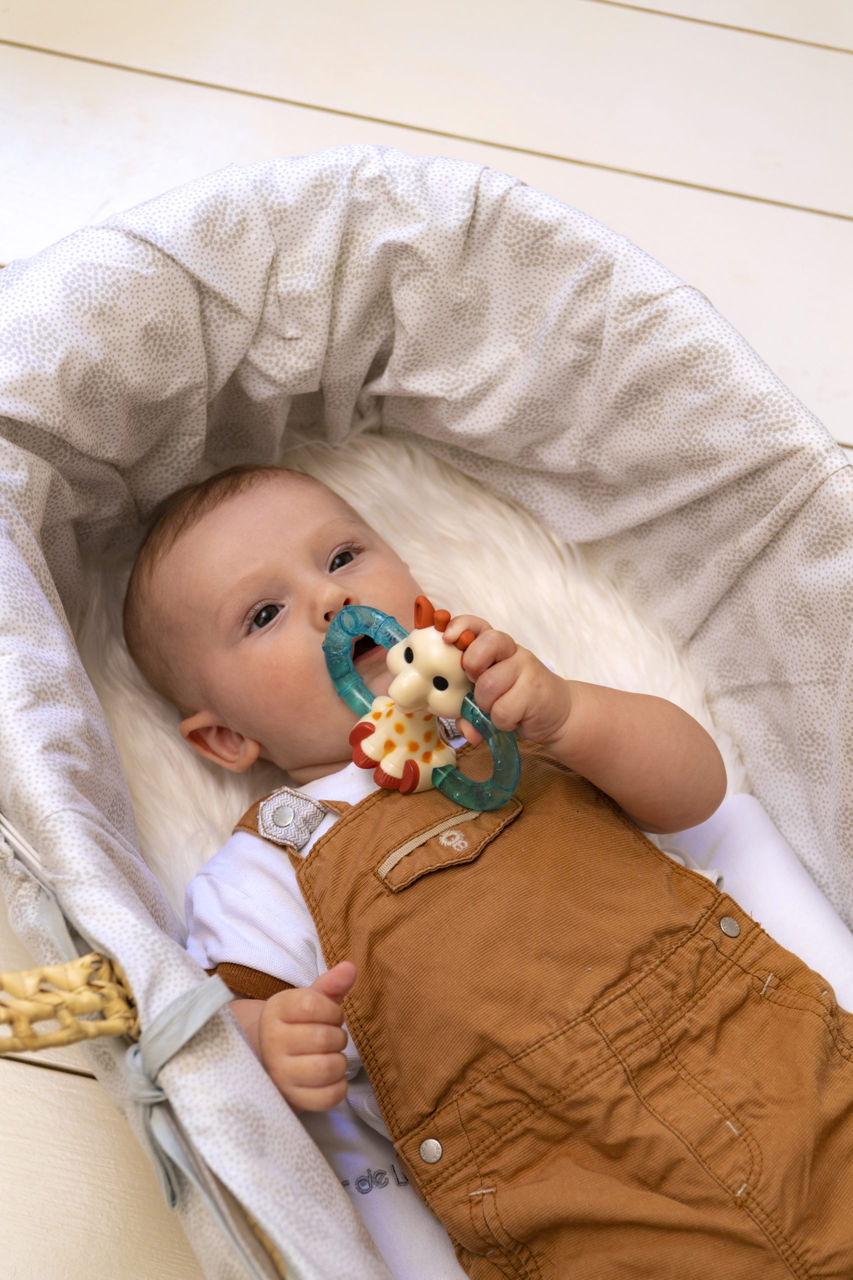 Sophie la Girafe - Double ice bite teether (010315)