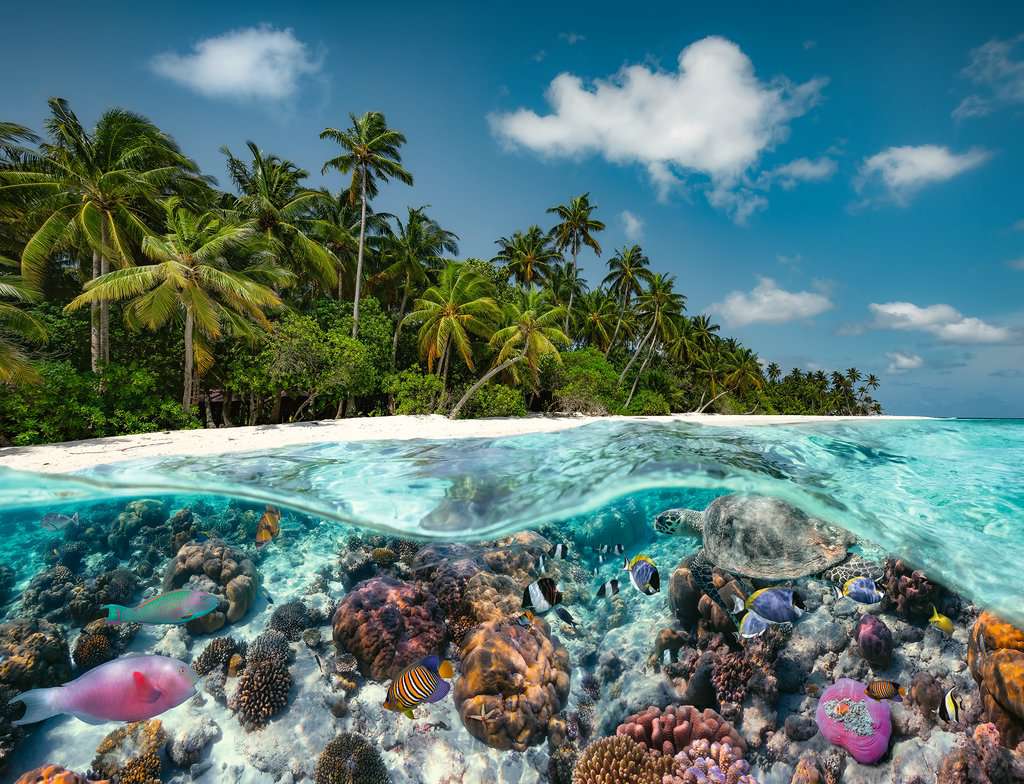 Ravensburger - A Dive In The Maldives 2000p - (10217441)