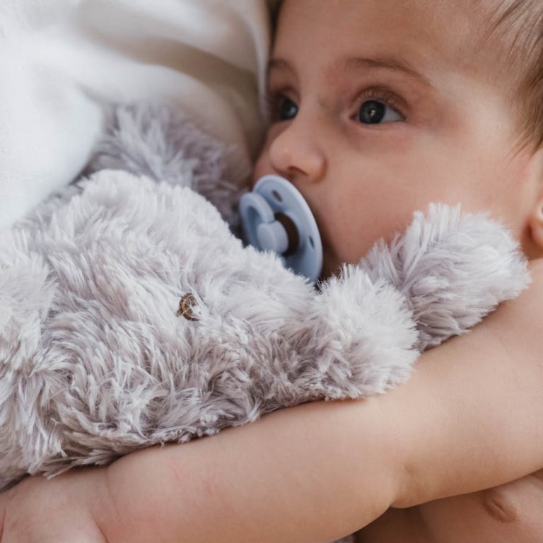 That’s Mine – Houston Weighted Teddy Small – Elephant (11029455530)