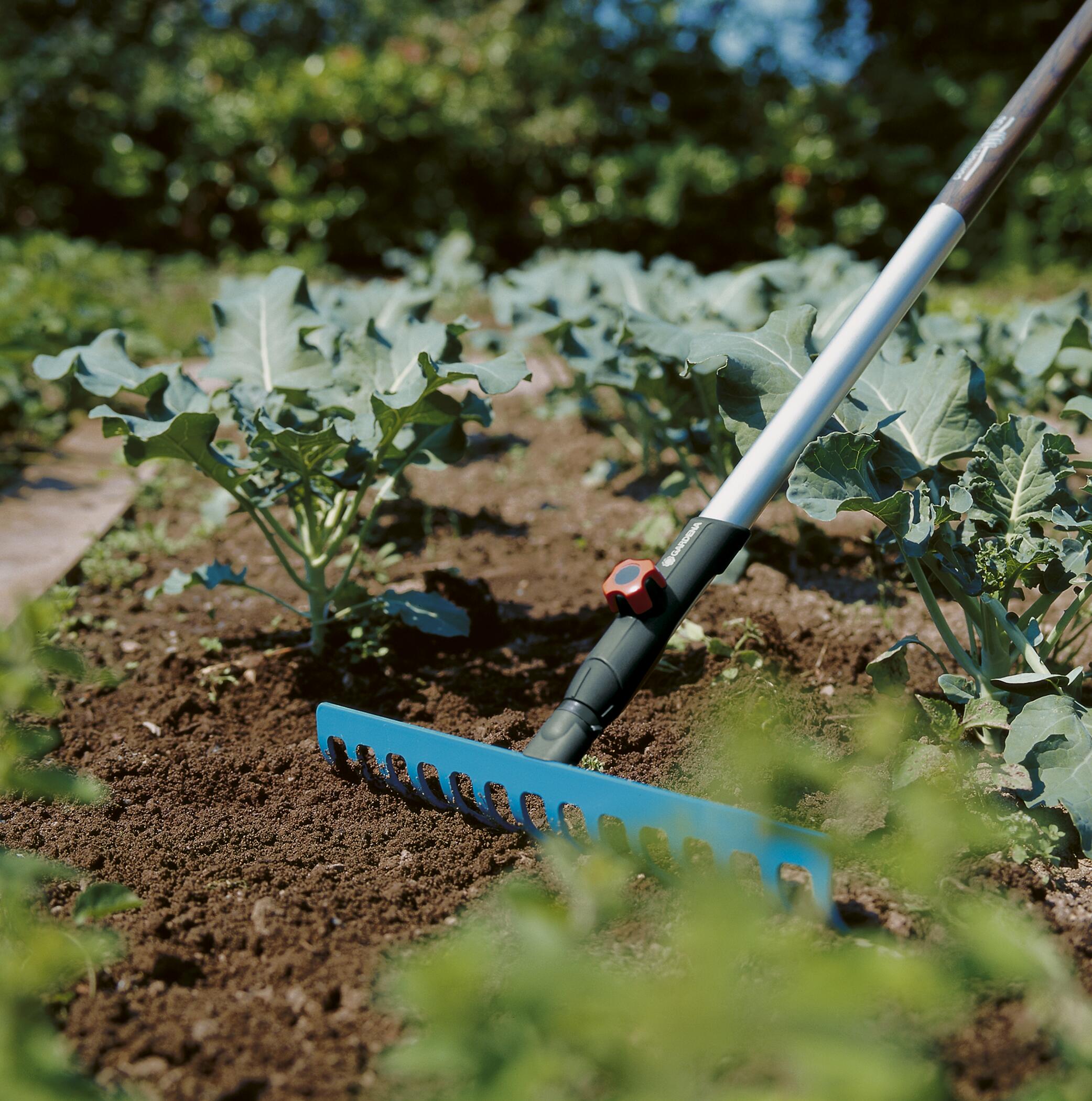 Gardena - GARDENA combisystem Rake, 36 cm / 14 tines - 36 cm / 14 tines