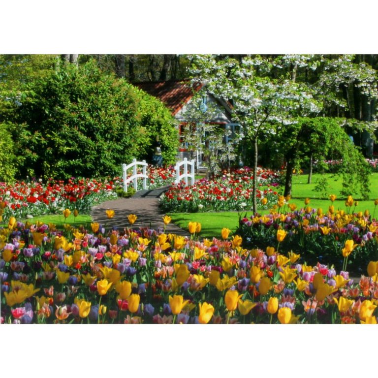 Ravensburger – Keukenhof Gardens 1000p – (12000851)