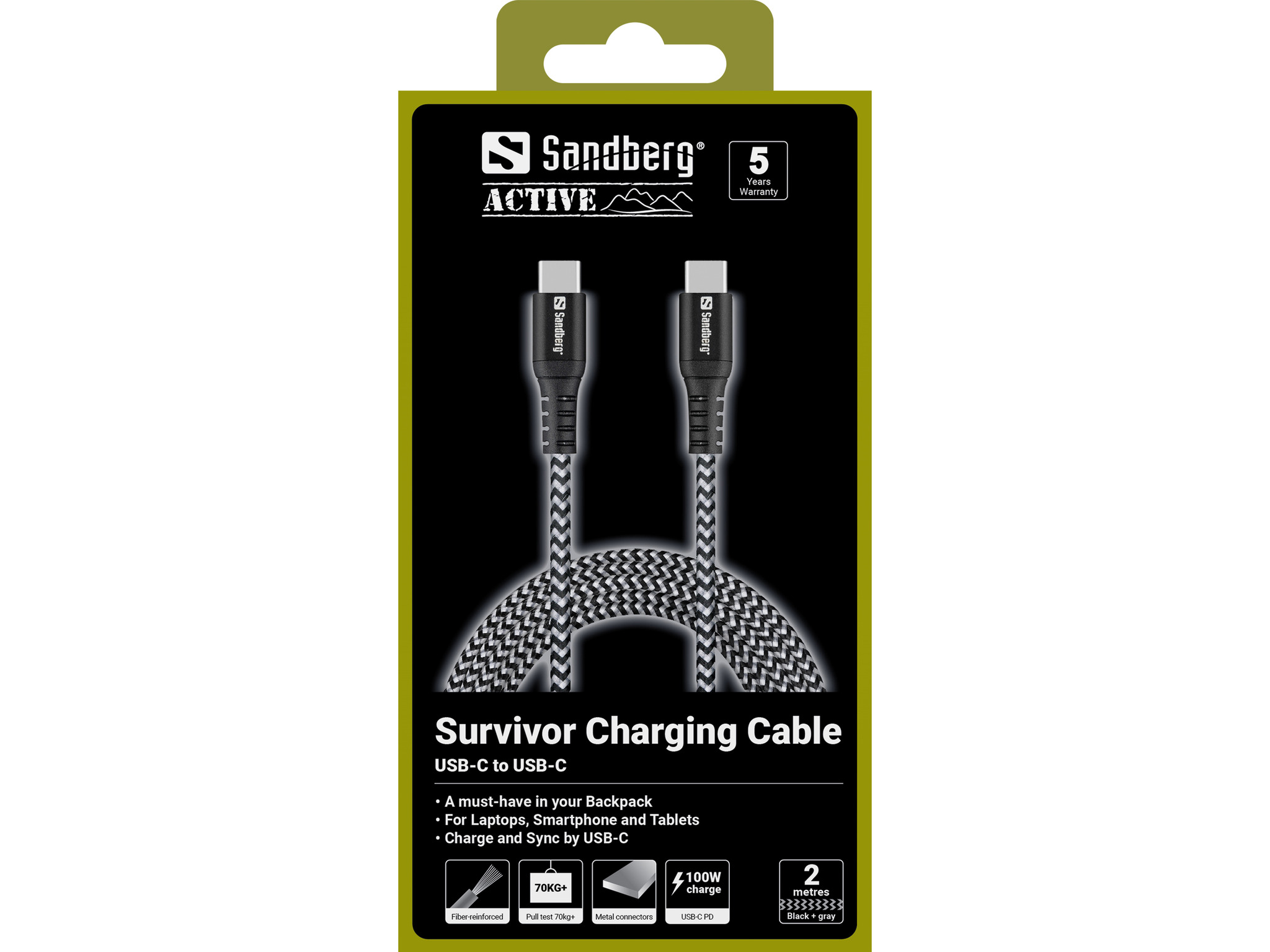 Sandberg 441-67 Survivor USB-C Cable 2M 100W